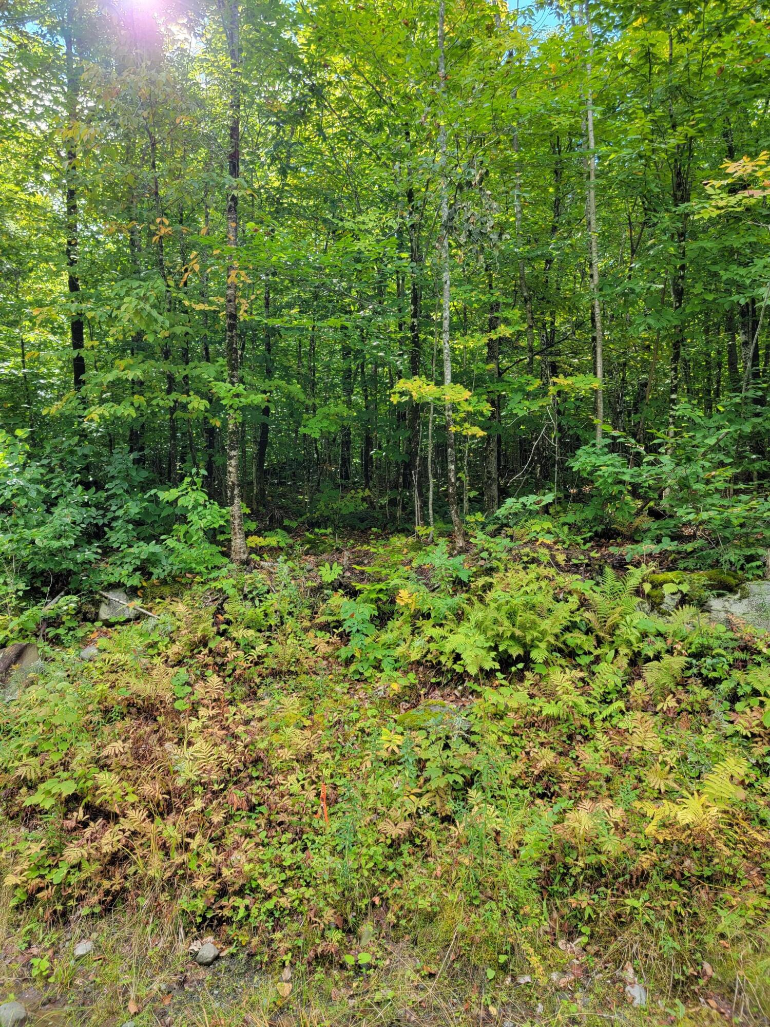 1 Map Drive Sebec, ME 04481 - Photo 17 of 25 20220921_105259