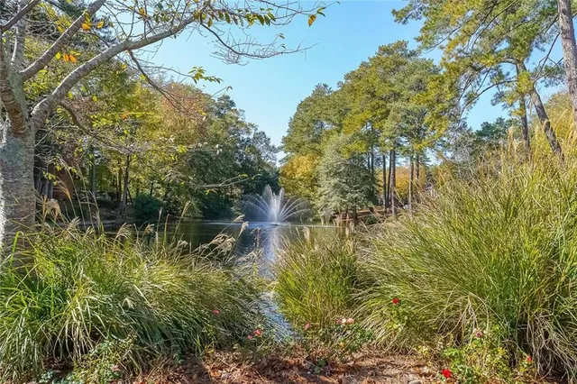 a view of lake with trees