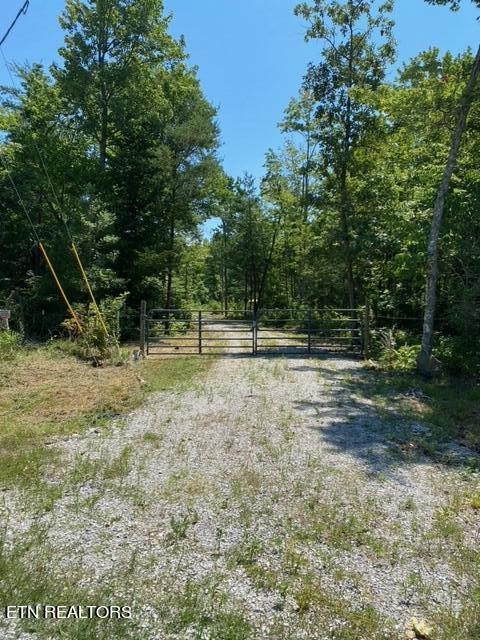 0 Clifty Crk Road Winfield, TN 37892 - Photo 1 of 28 Gallery Image 1