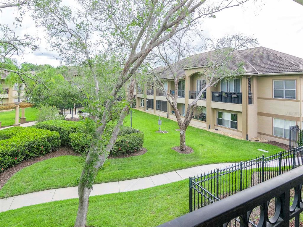 1036 Normandy Trace Road Tampa, FL 33602 - Photo 26 of 31 a view of an house with backyard and a tree