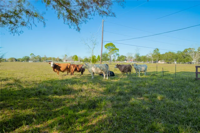$1,250,000 | 3600 West South Street, Alvin, TX 77511