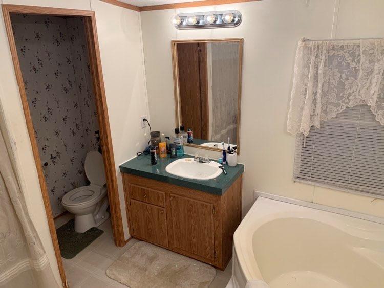 106 Brake Road Elliston, VA 24087 - Photo 13 of 13 a bathroom with a sink a toilet and a bathtub