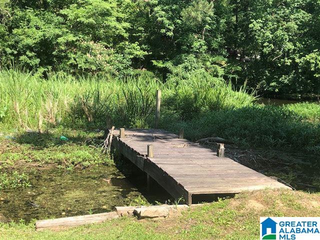 336 Bill Gross Camp Road Bessemer, AL 35023 - Photo 14 of 15
