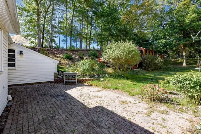 a view of a backyard with plants and large trees