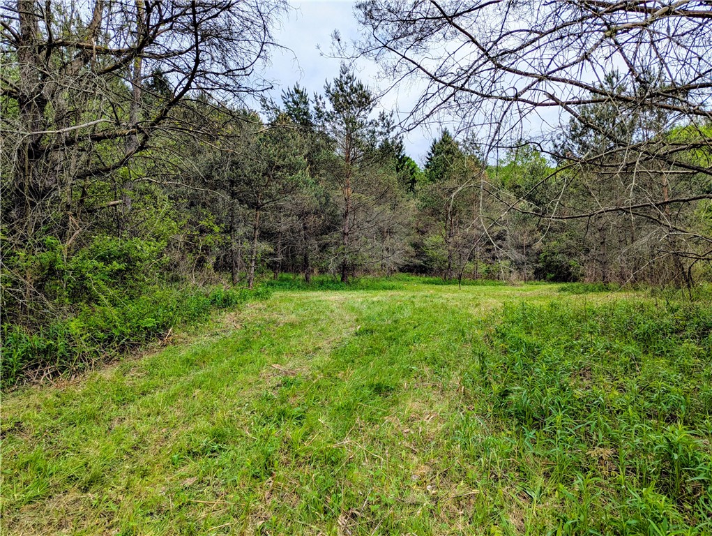 0 Two 2 Mile Road Port Allegany, PA 16743 - Photo 8 of 29