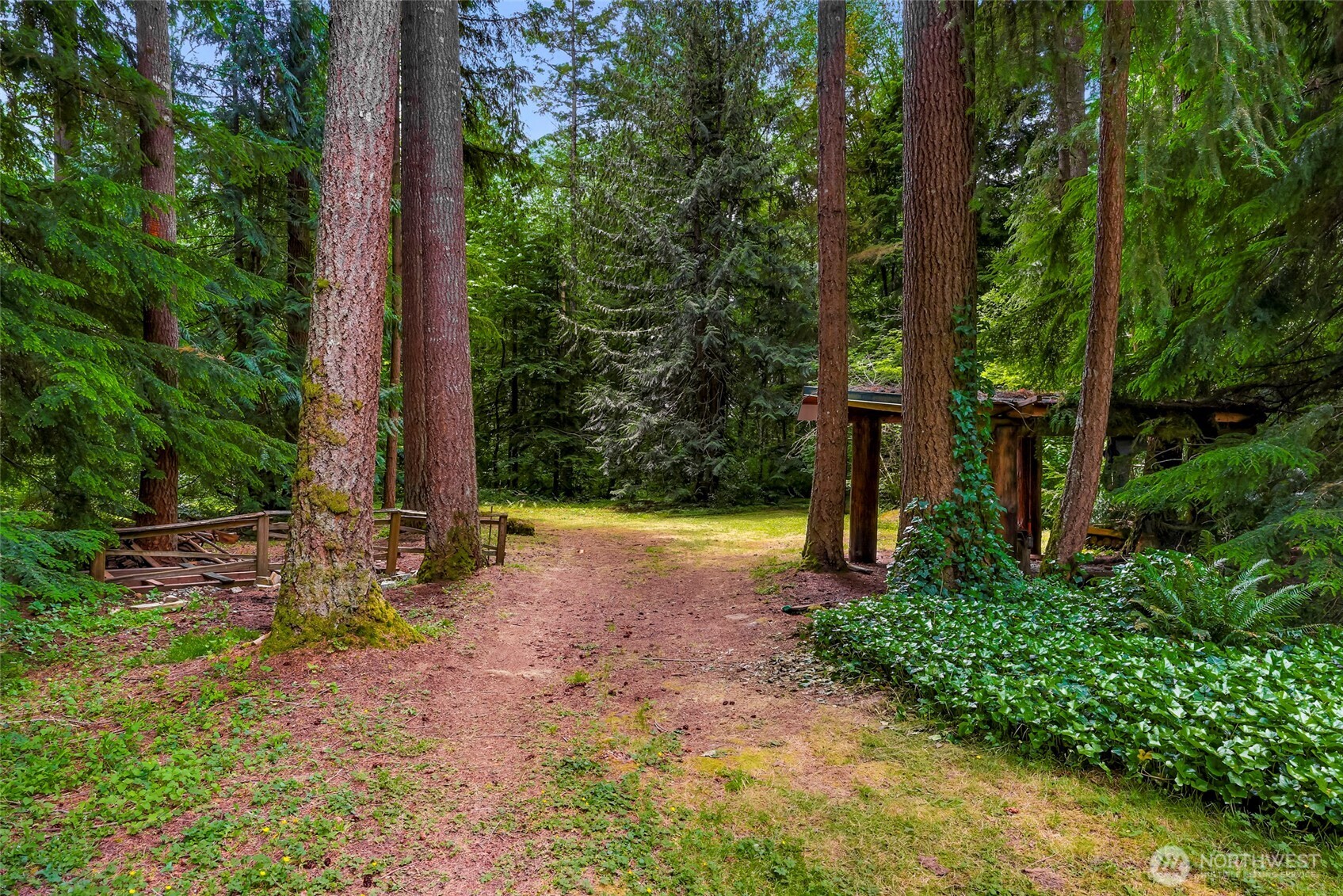 5650 Doran Road Acme, WA 98220 - Photo 28 of 40 a view of a yard with plants