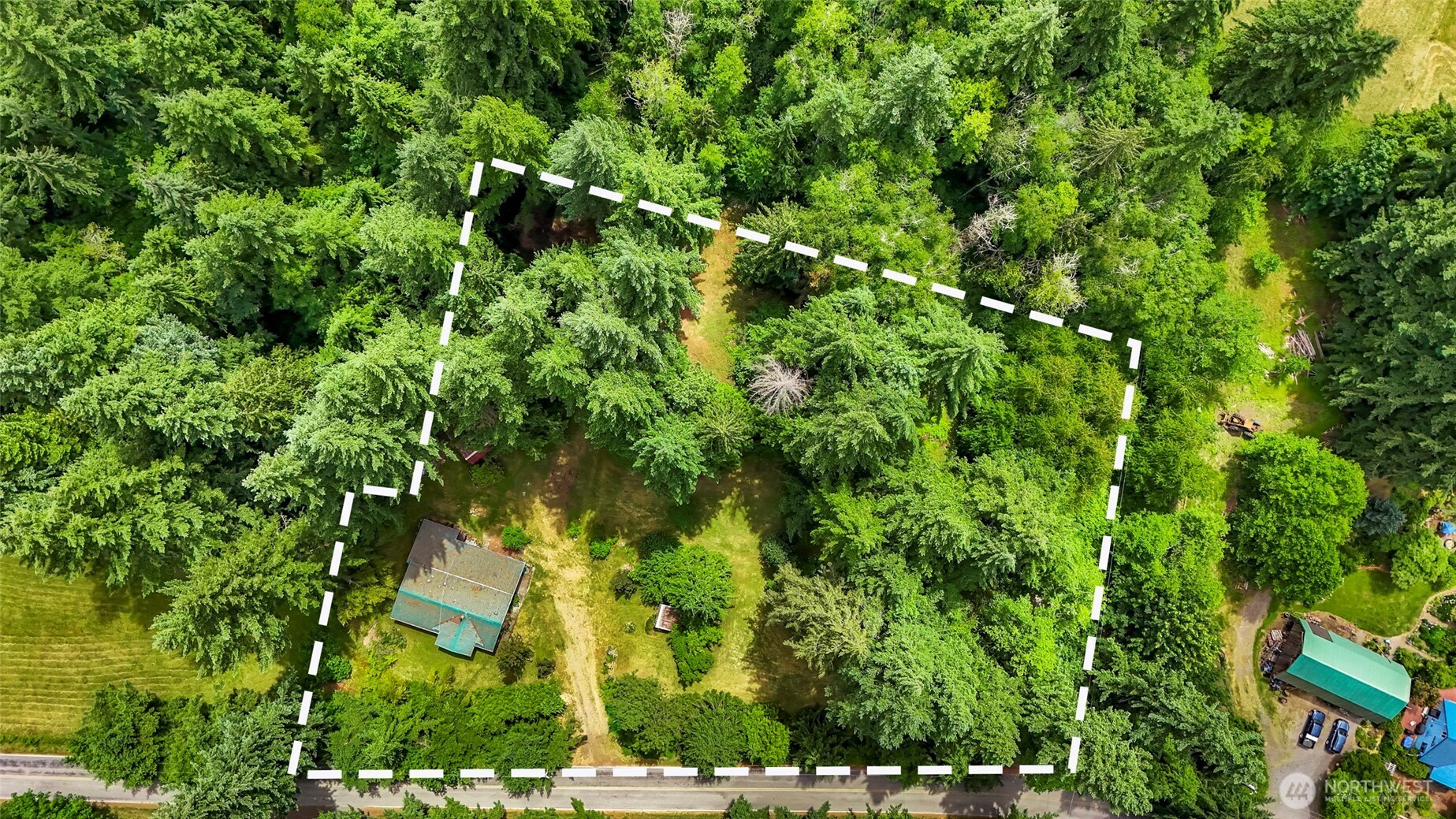 5650 Doran Road Acme, WA 98220 - Photo 31 of 40 a view of a forest