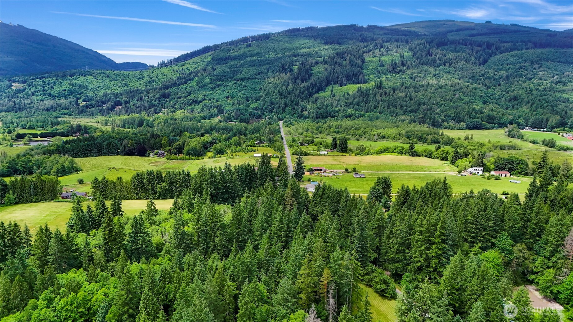5650 Doran Road Acme, WA 98220 - Photo 7 of 40 a view of a lush green forest with lots of trees