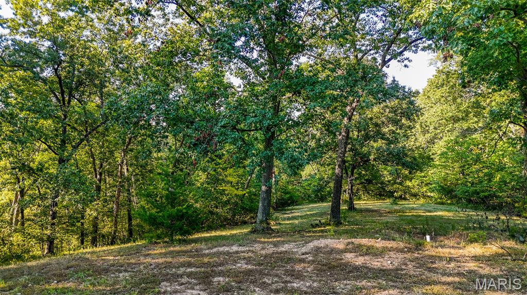 145 Eagle Ridge Lane Winfield, MO 63389 - Photo 26 of 39