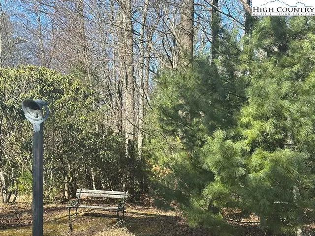 a view of a yard with plants and trees
