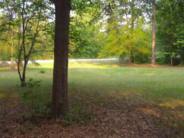 125 Cox Road Troy, SC 29848 - Photo 5 of 6