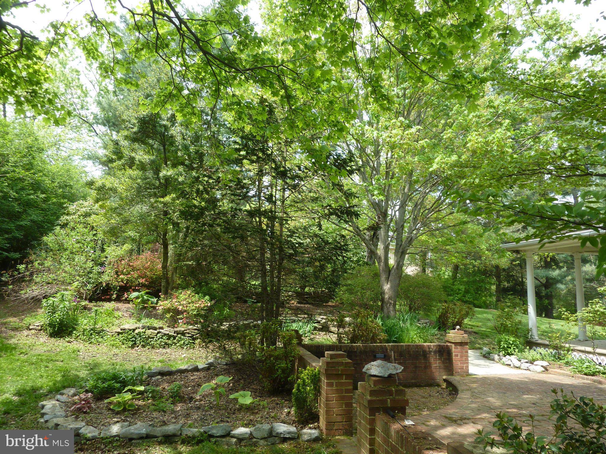 143 Stonebrook Road Winchester, VA 22602 - Photo 3 of 21 Mature Plantings