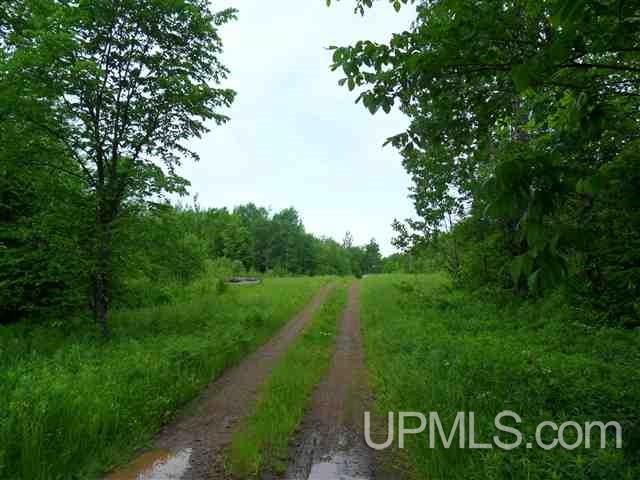 Off Firesteel Road Ontonagon, MI 49929 - Photo 1 of 9