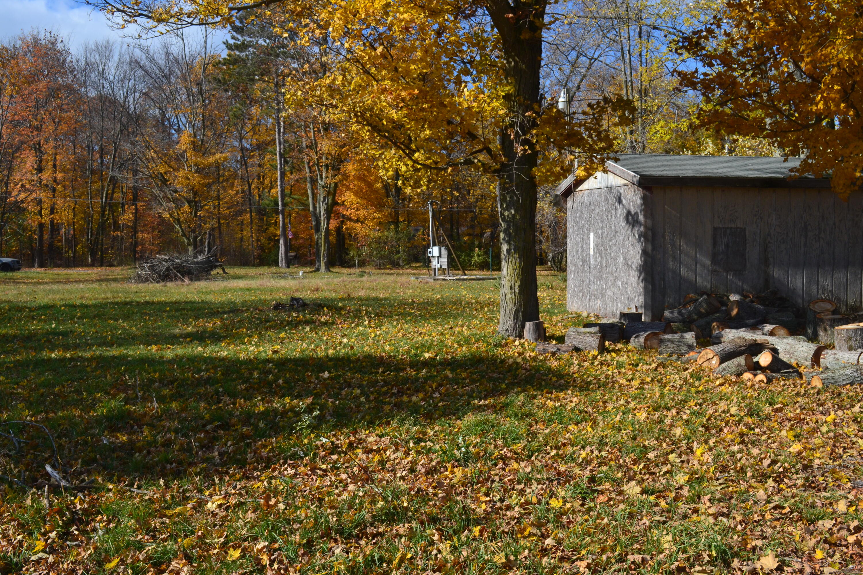 6229 Becht Road Coloma, MI 49038 - Photo 11 of 13 DSC_0109