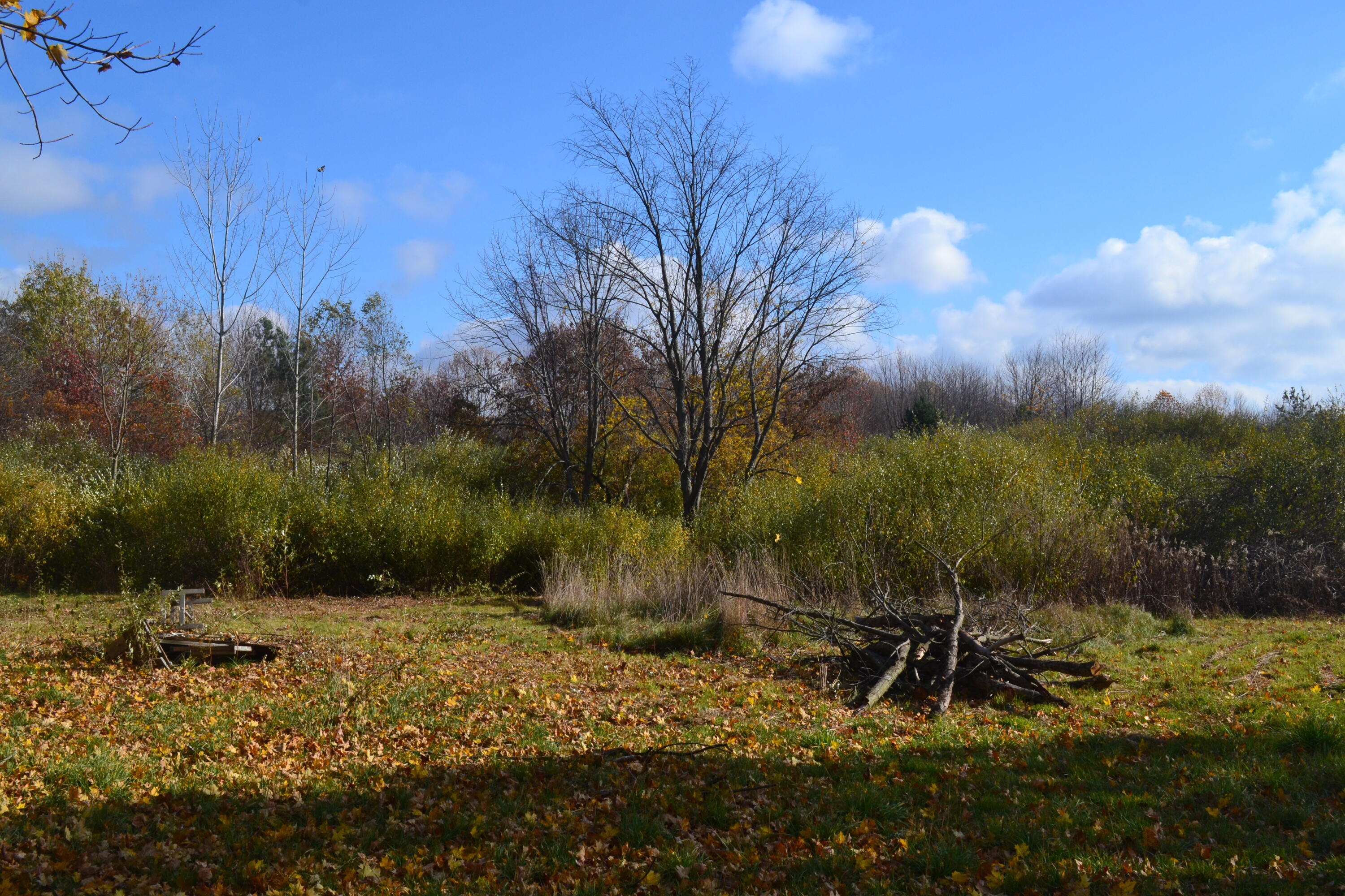 6229 Becht Road Coloma, MI 49038 - Photo 12 of 13 DSC_0110