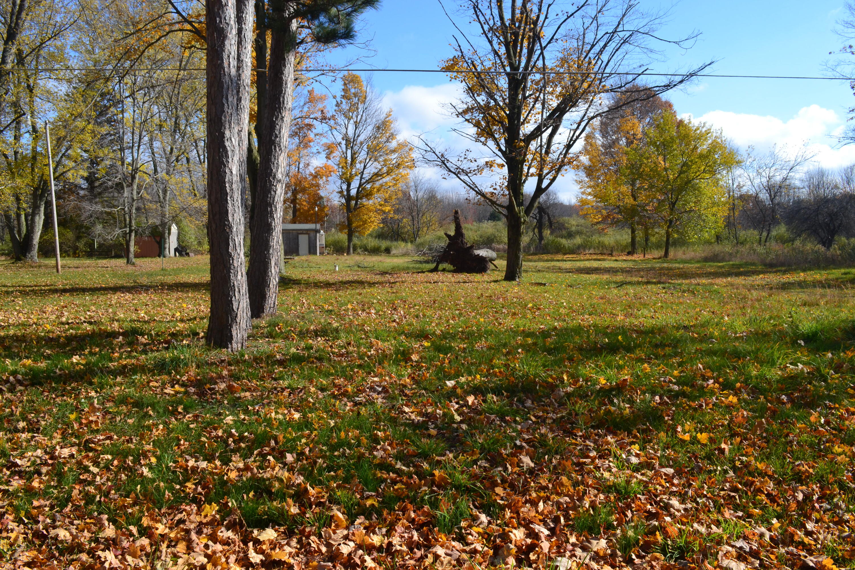 6229 Becht Road Coloma, MI 49038 - Photo 2 of 13 DSC_0098