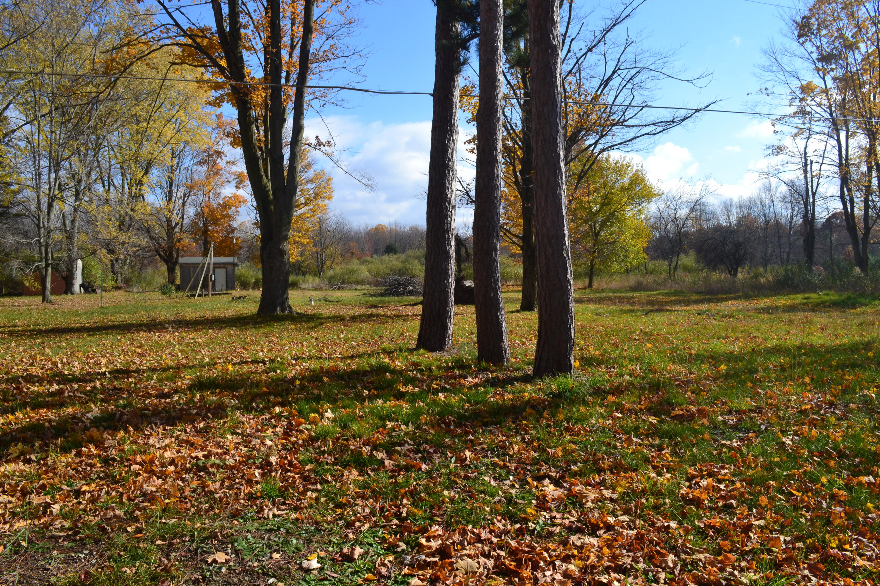 6229 Becht Road Coloma, MI 49038 - Photo 3 of 13 DSC_0099