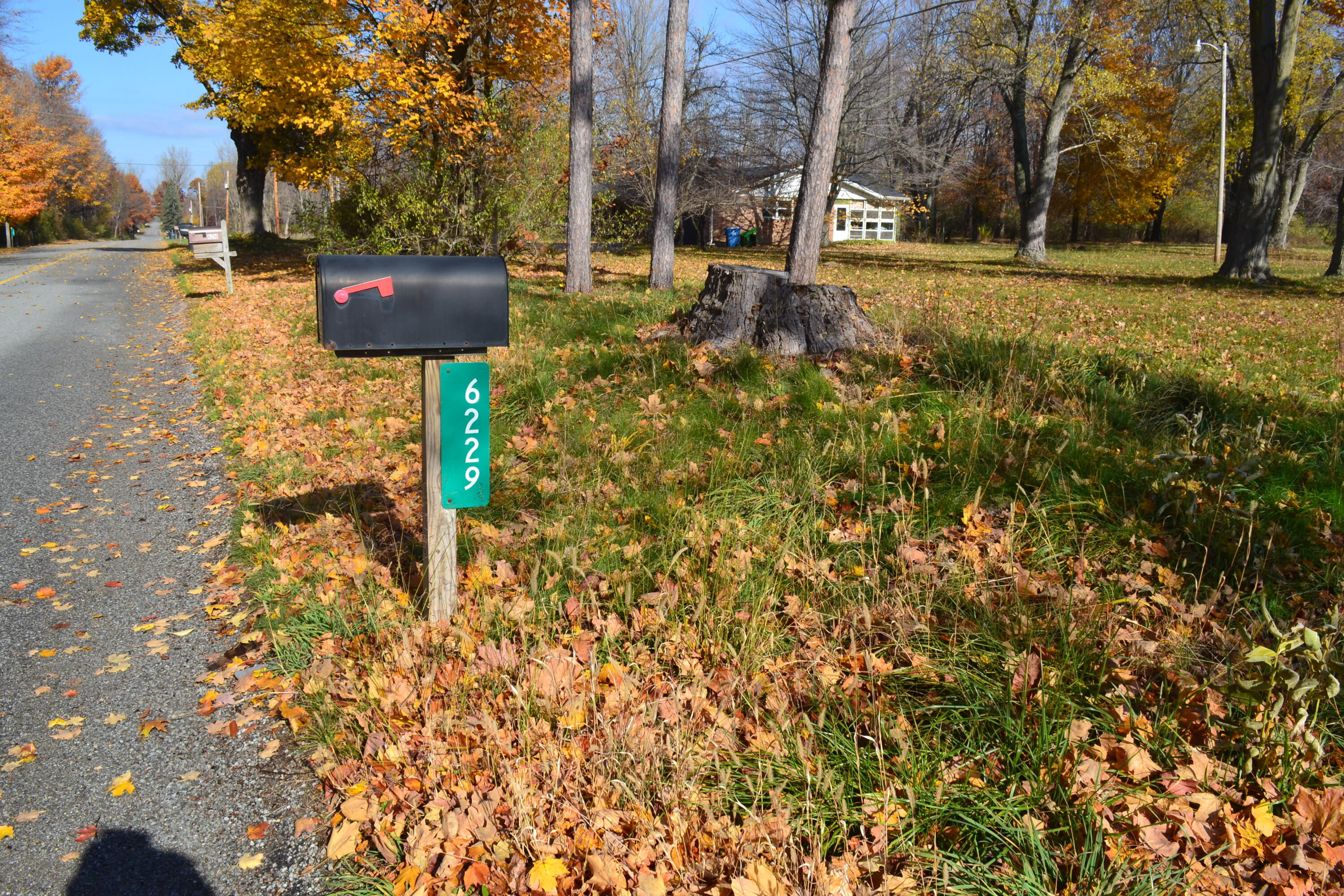 6229 Becht Road Coloma, MI 49038 - Photo 4 of 13 DSC_0100