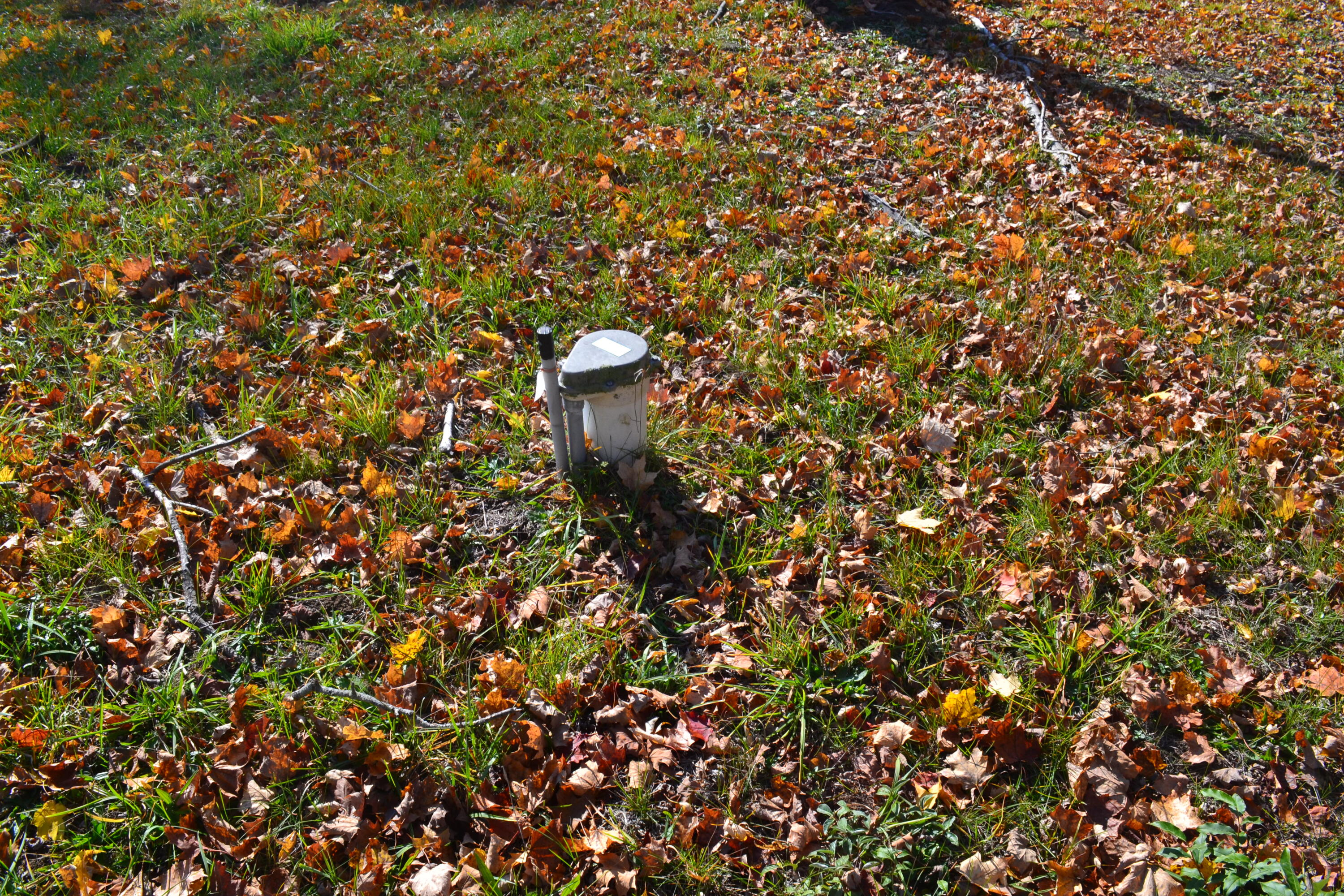 6229 Becht Road Coloma, MI 49038 - Photo 5 of 13 DSC_0102