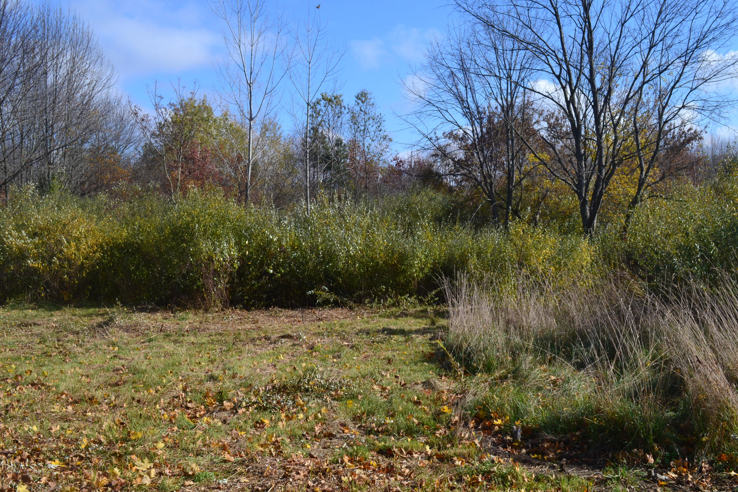6229 Becht Road Coloma, MI 49038 - Photo 10 of 13 DSC_0108