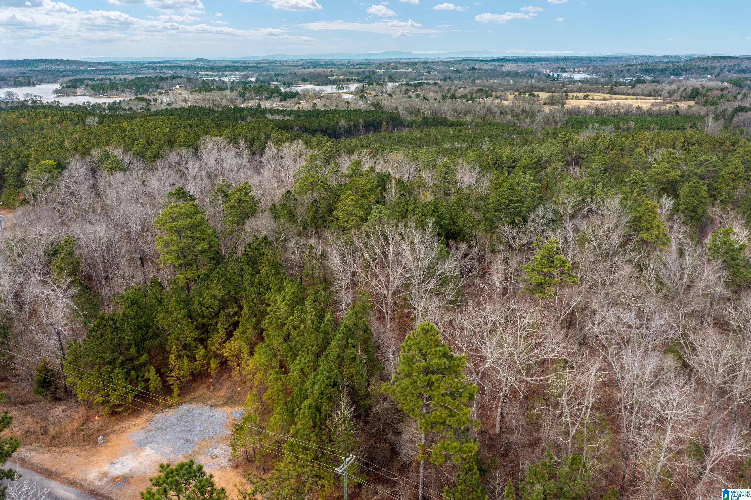 Shore Side Lane, Unit 213 Sylacauga, AL 35151 - Photo 4 of 11