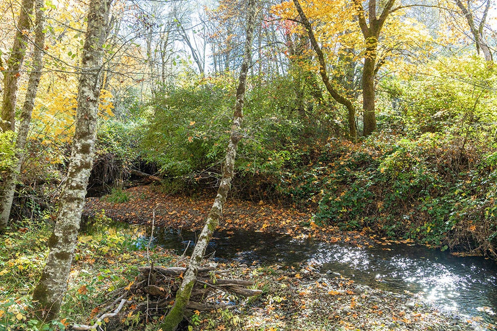 1263 Waldo Road Cave Junction, OR 97523 - Photo 81 of 82 82