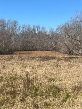 $50,000 | 137 Tahiti Trail, Vacherie, LA 70090