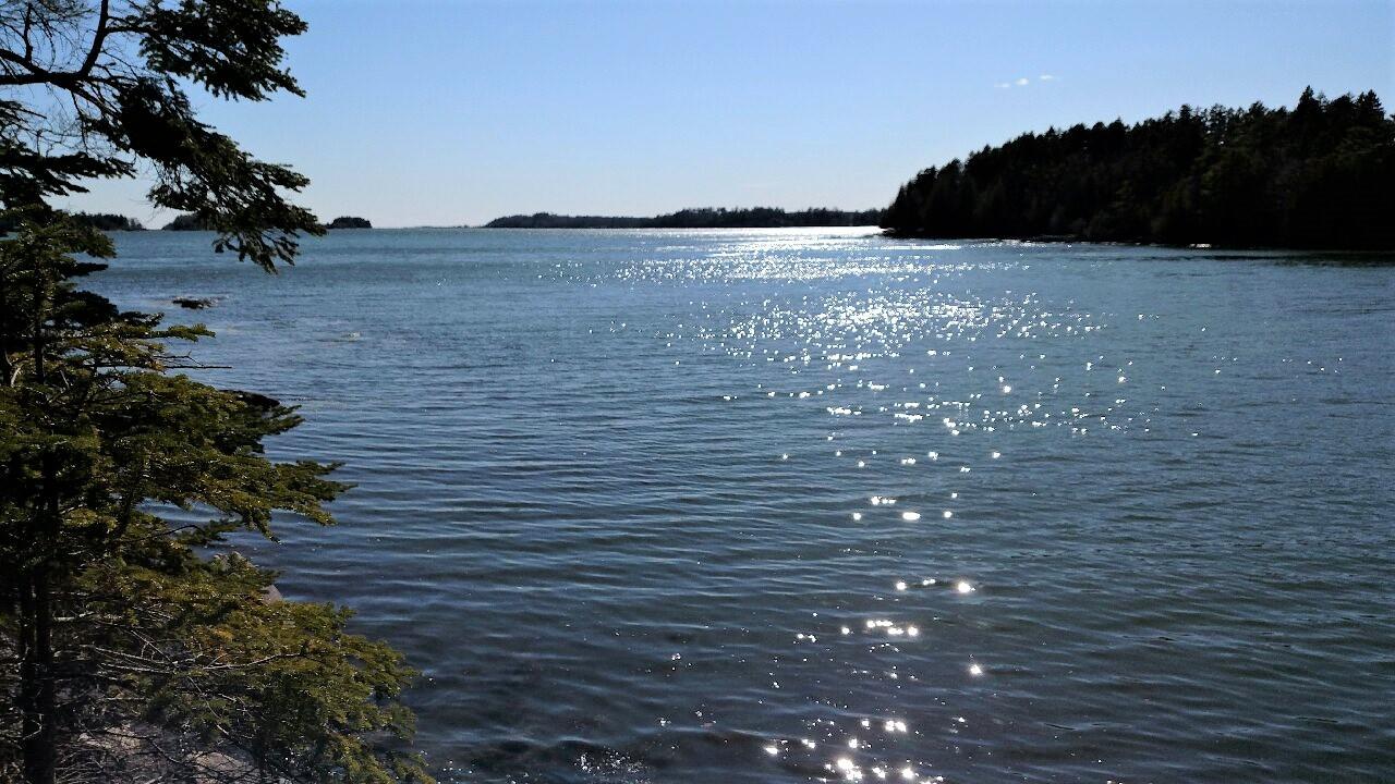 Octagon Cove View