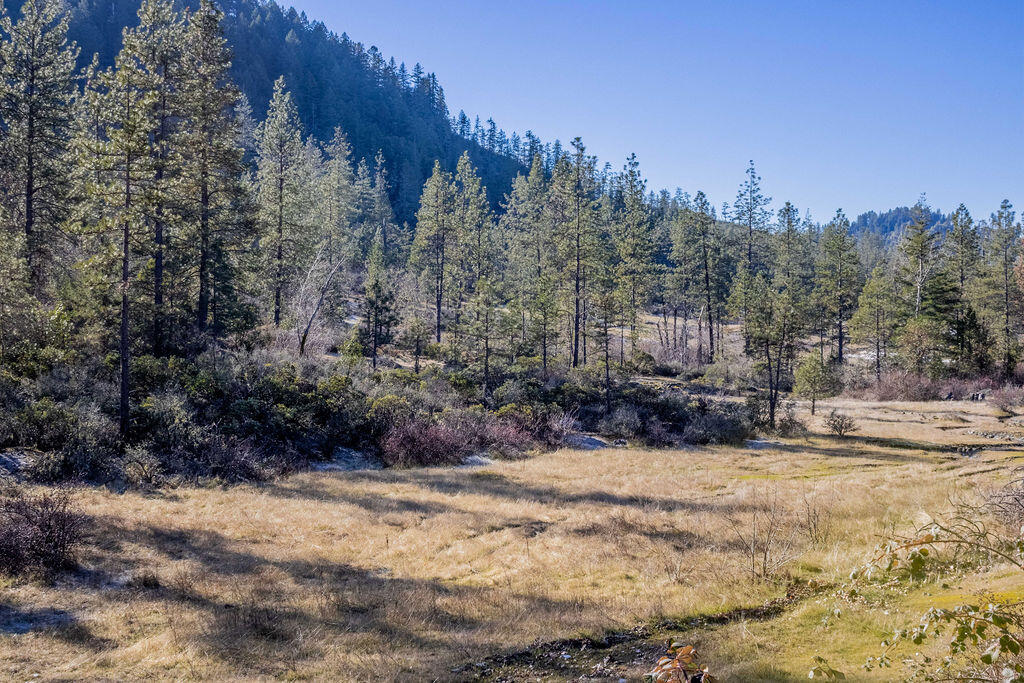 0 Waldo Road, Unit 403 Cave Junction, OR 97523 - Photo 14 of 17 a view of outdoor space with trees