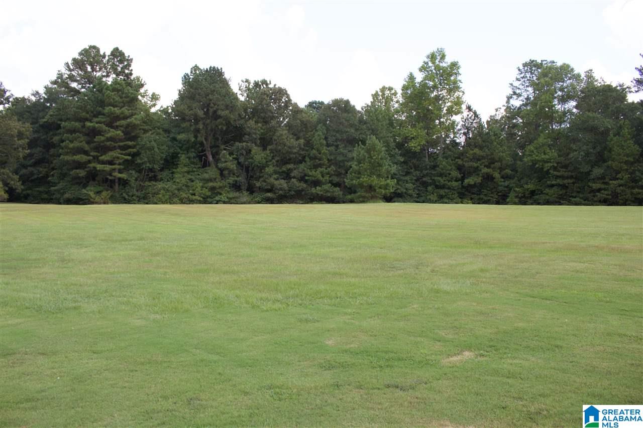 5459 Mt Olive Road Gardendale, AL 35071 - Photo 27 of 28