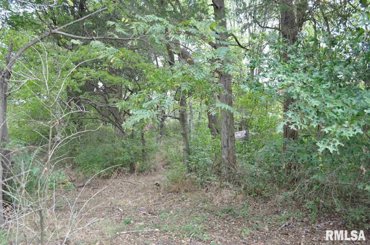 19394 Ewing Road Ewing, IL 62836 - Photo 34 of 43