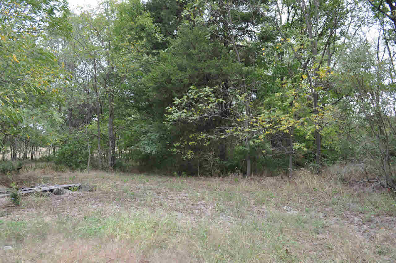 19394 Ewing Road Ewing, IL 62836 - Photo 41 of 43