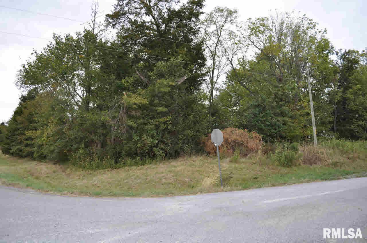 19394 Ewing Road Ewing, IL 62836 - Photo 42 of 43