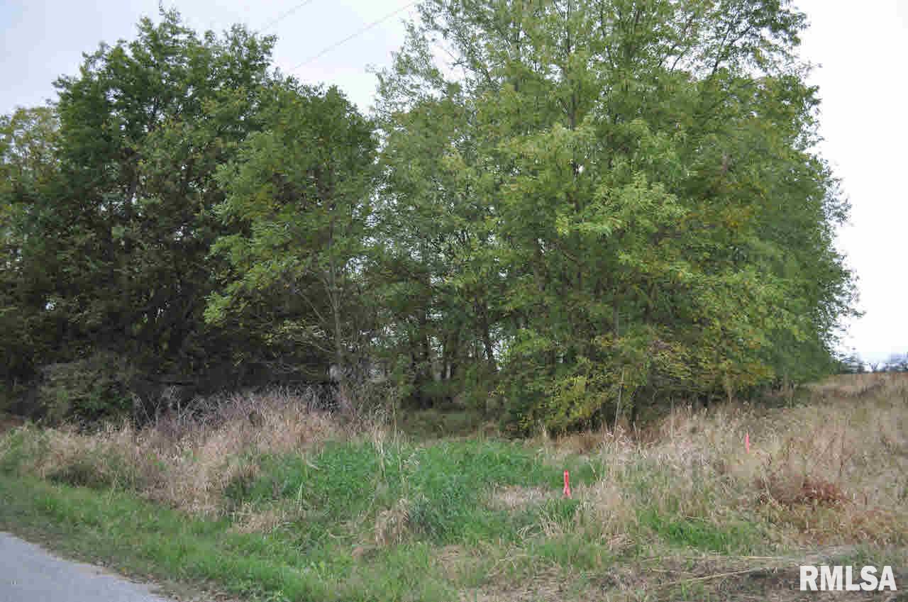 19394 Ewing Road Ewing, IL 62836 - Photo 43 of 43