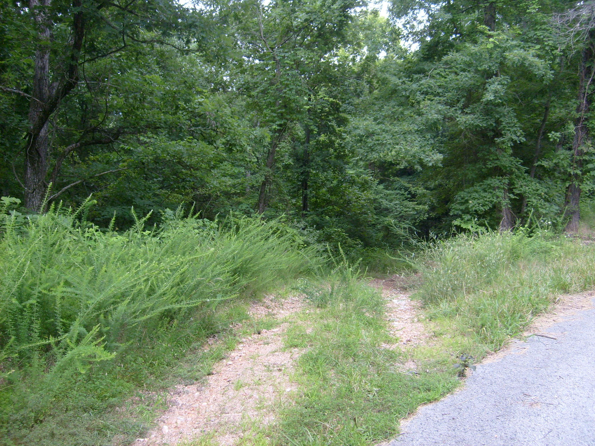 Tbd Waters Road Shell Knob, MO 65747 - Photo 1 of 1 S6300033