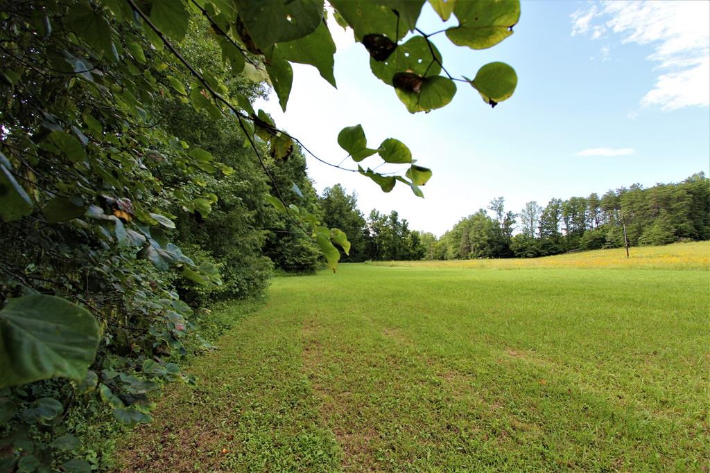 Crumptown Road Farmville, VA 23901 - Photo 18 of 32 Gallery Image 18