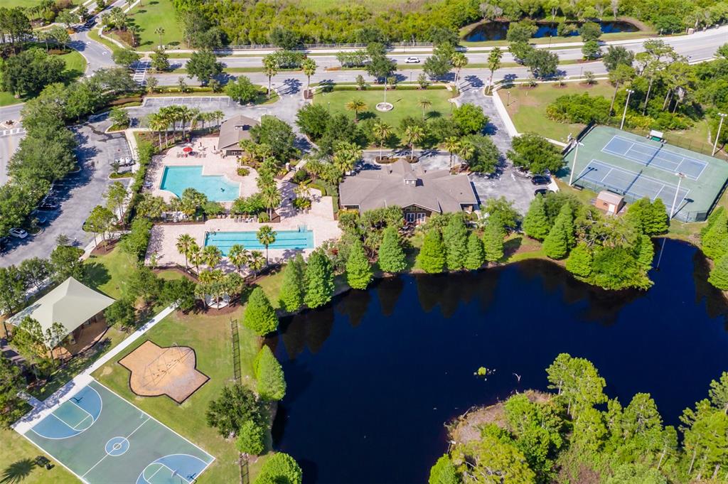 4950 Diamonds Palm Loop Wesley Chapel, FL 33543 - Photo 50 of 65