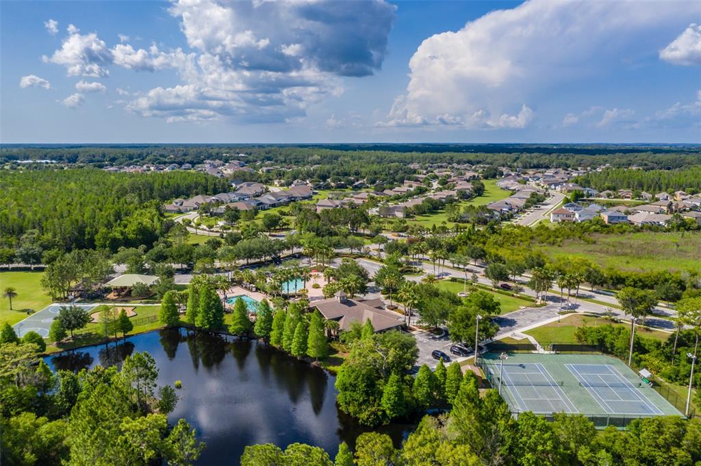 4950 Diamonds Palm Loop Wesley Chapel, FL 33543 - Photo 53 of 65