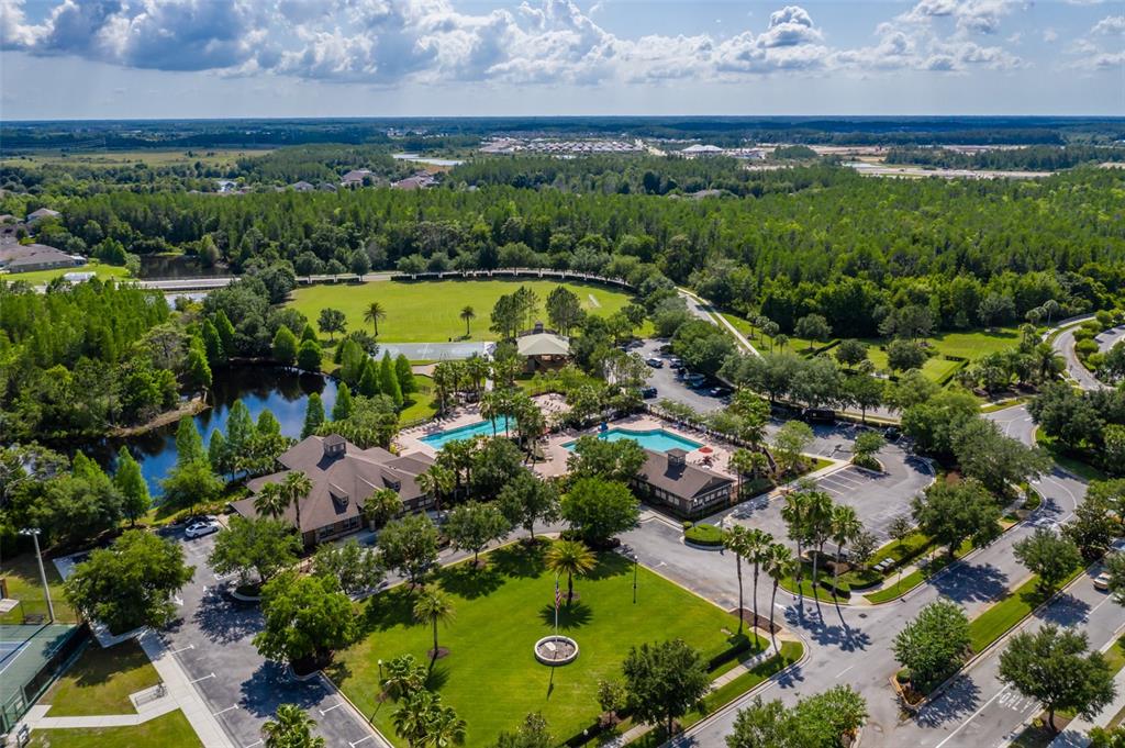 4950 Diamonds Palm Loop Wesley Chapel, FL 33543 - Photo 55 of 65 a view of a garden with a swimming pool