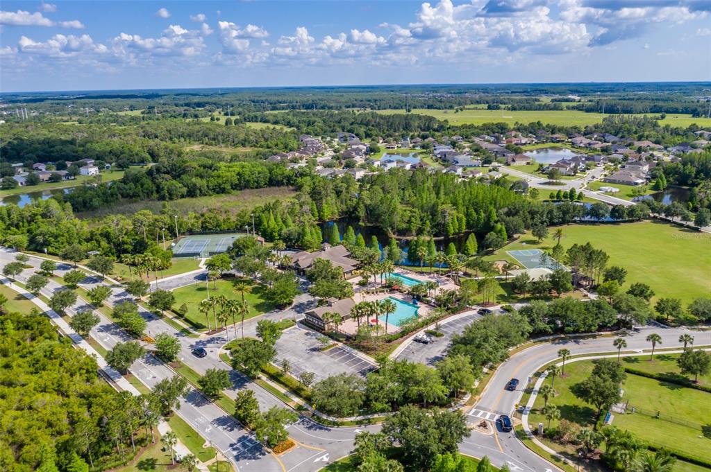 4950 Diamonds Palm Loop Wesley Chapel, FL 33543 - Photo 56 of 65 a view of a garden with a lake