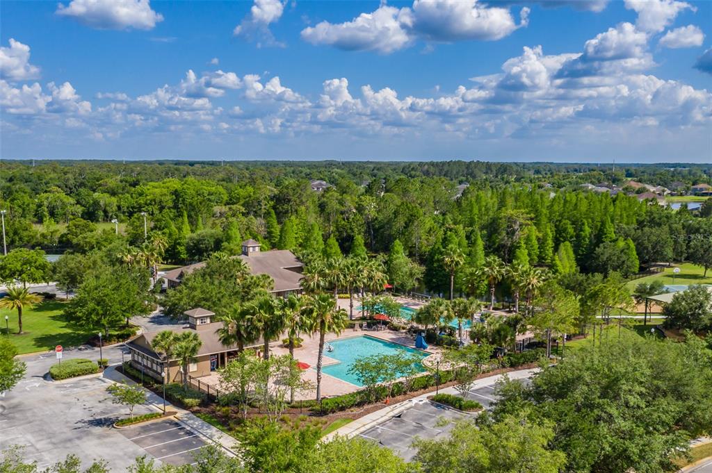 4950 Diamonds Palm Loop Wesley Chapel, FL 33543 - Photo 58 of 65 a view of a garden with an ocean