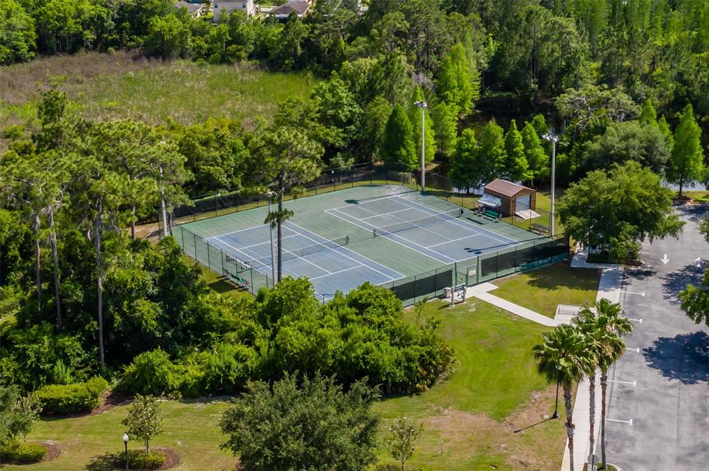 4950 Diamonds Palm Loop Wesley Chapel, FL 33543 - Photo 59 of 65 a view of a backyard with a patio