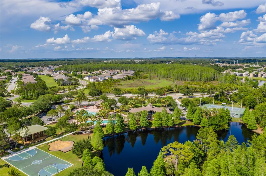4950 Diamonds Palm Loop Wesley Chapel, FL 33543 - Photo 60 of 65 a view of a lake