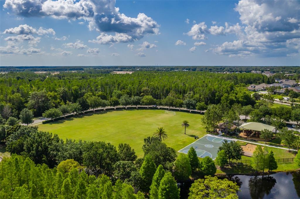 4950 Diamonds Palm Loop Wesley Chapel, FL 33543 - Photo 61 of 65