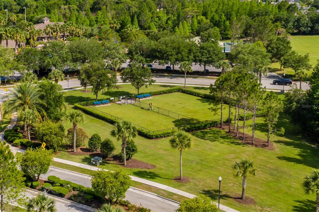 4950 Diamonds Palm Loop Wesley Chapel, FL 33543 - Photo 64 of 65 a view of a yard with chairs