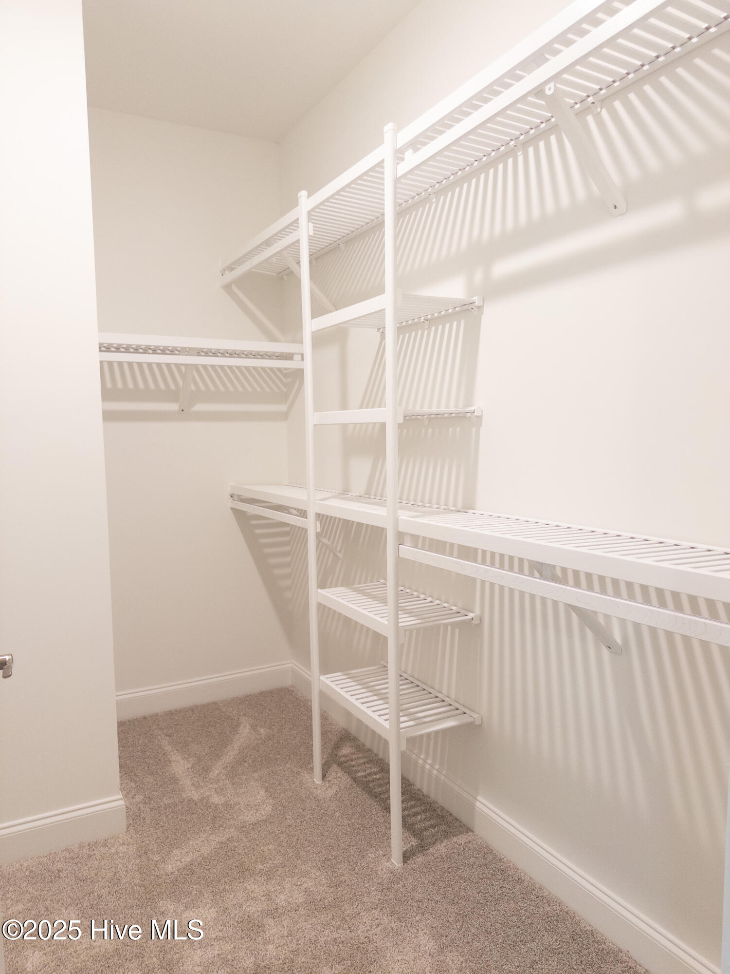 107 Spicer Lake Drive Holly Ridge, NC 28445 - Photo 10 of 56 upgraded closet shelving
