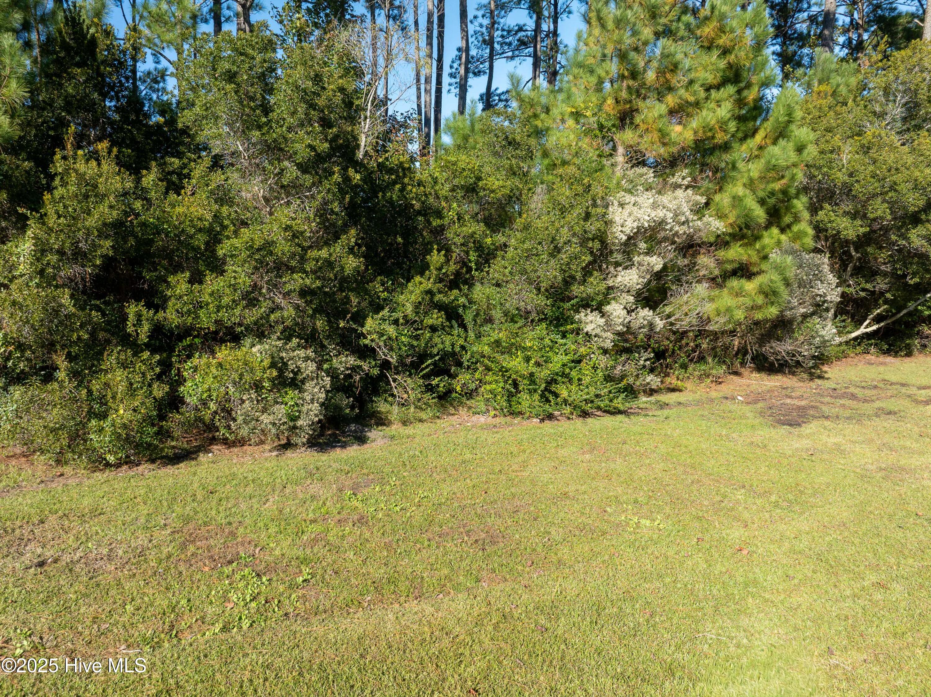 107 Spicer Lake Drive Holly Ridge, NC 28445 - Photo 26 of 56 tree-lined back yard