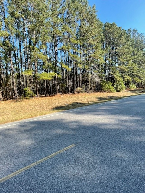 Tbd M W Rickenbaker Road Summerton, SC 29148 - Photo 2 of 6 Gallery Image 2