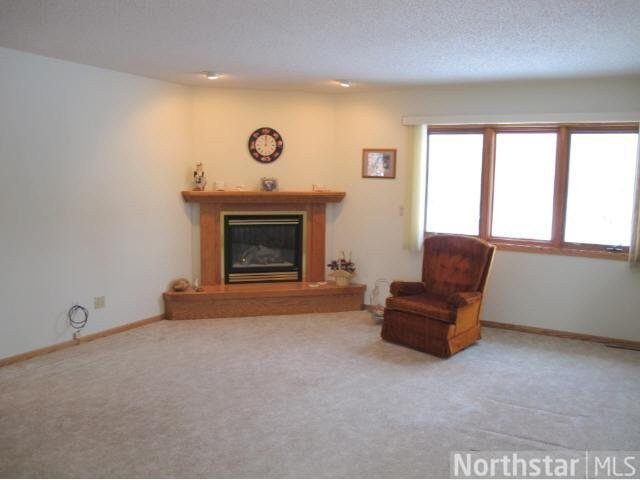 26183 Rabbit Trail Aitkin, MN 56431 - Photo 7 of 18