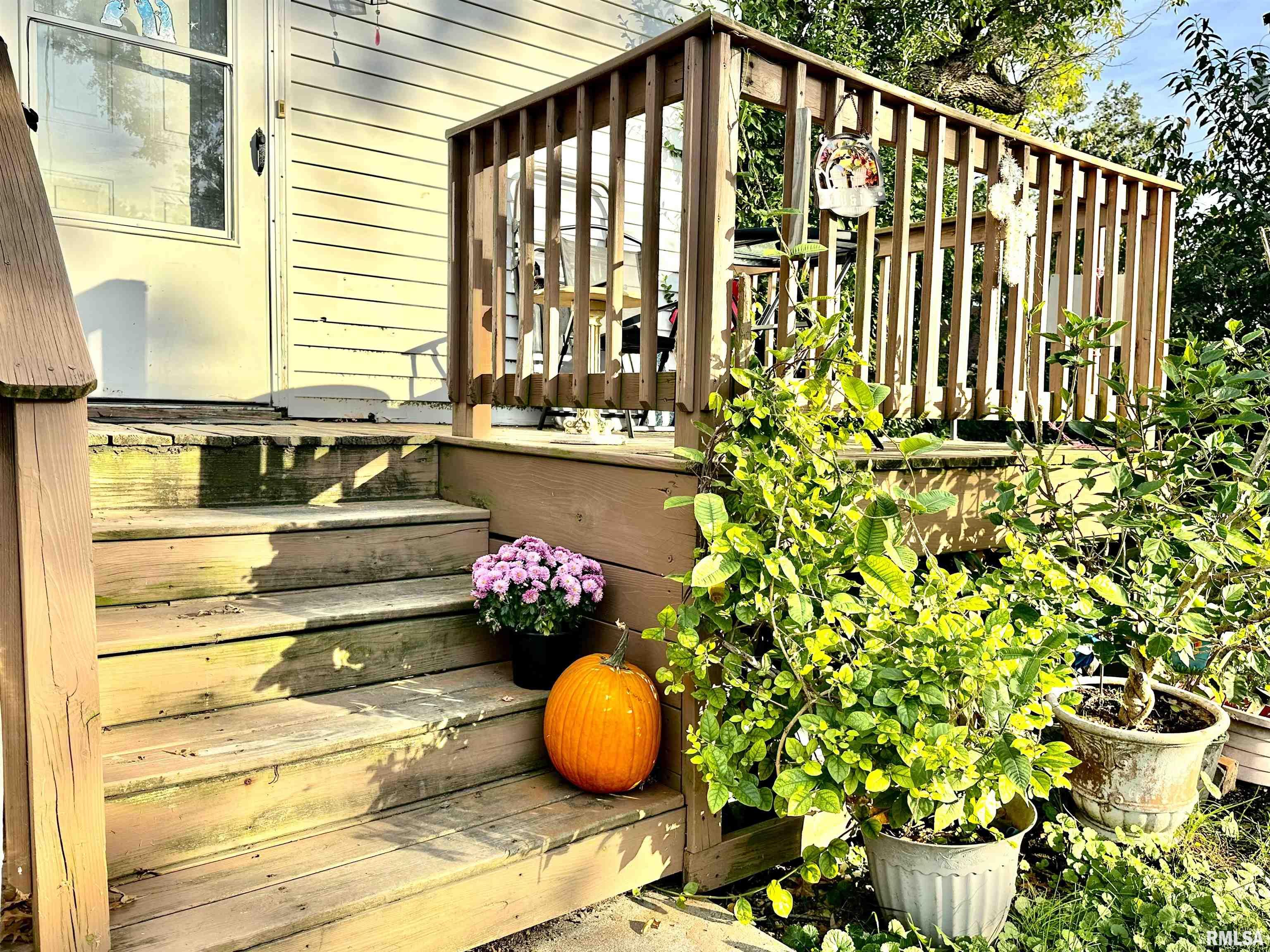 716 Cedar Street Centralia, IL 62801 - Photo 2 of 53